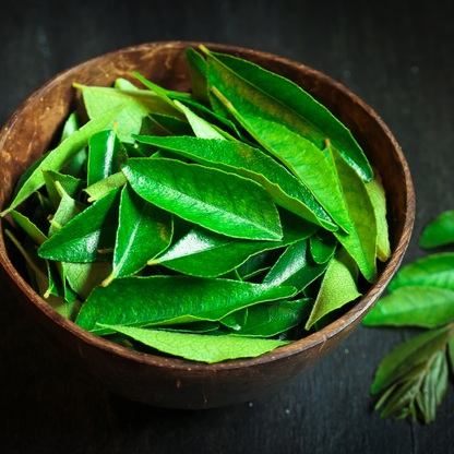 Curry Leaves and Tulsi Herbal Tea 
